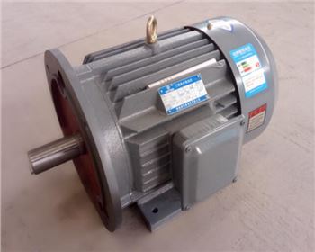 西安立臥兩用電機(jī)